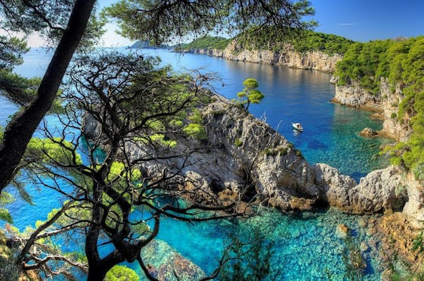 Passeio privado de lancha rápida de Dubrovnik às Ilhas Elafiti