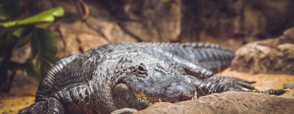 Ingressos para o Zoológico de Gdansk Oliwa com transporte particular