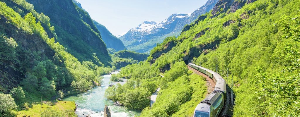 Wycieczka z przewodnikiem po Bergen z rejsem Sognefjorden i koleją Flåm