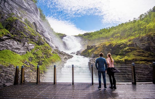 Selbstgeführte Tour nach Oslo mit einer Premium-Kreuzfahrt auf dem Nærøyfjord und der Flåmbahn
