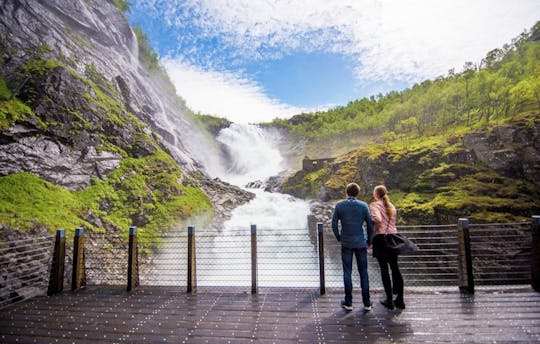 Visite autoguidée d'Oslo avec une croisière premium Nærøyfjord et le chemin de fer Flåm