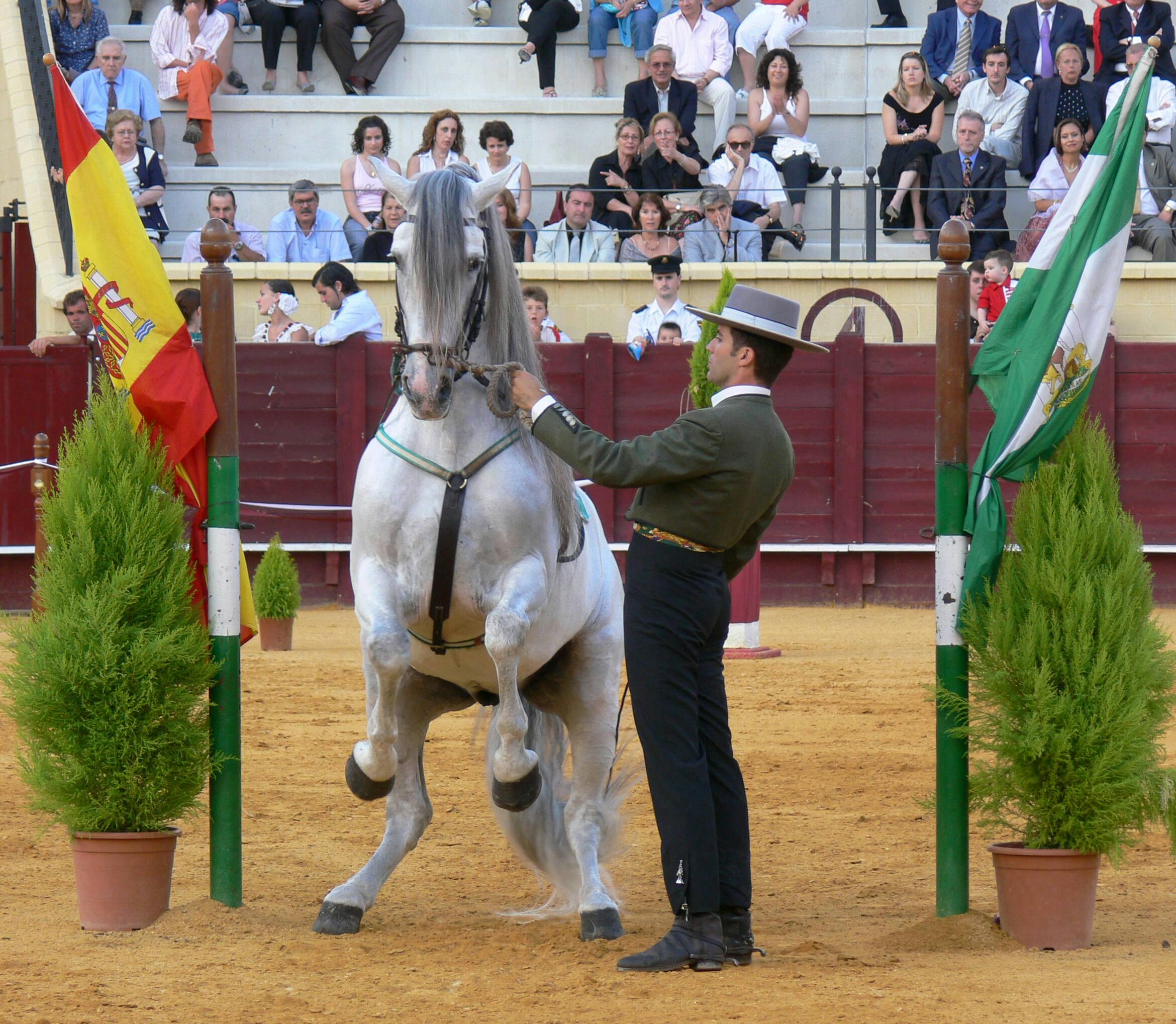 El Ranchito and Andalusian Night