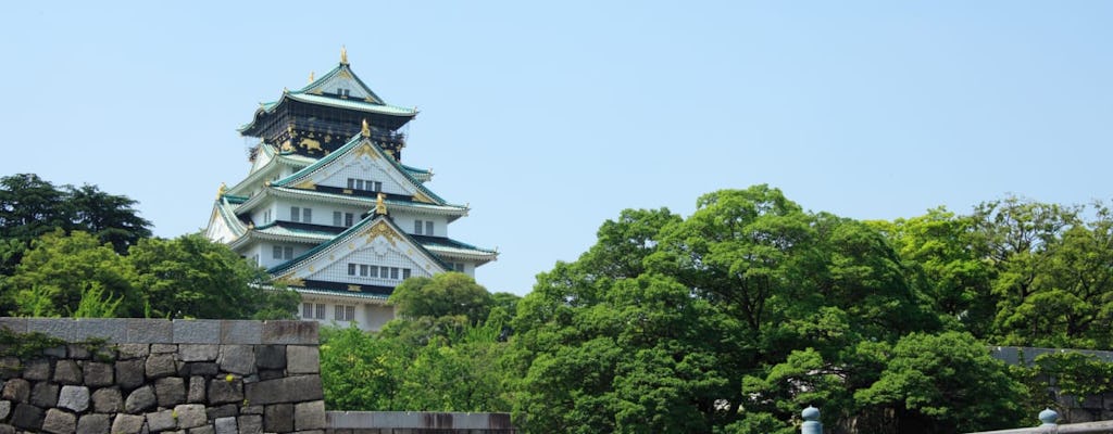 Private Osaka castle walking tour and Dotonbori food experience