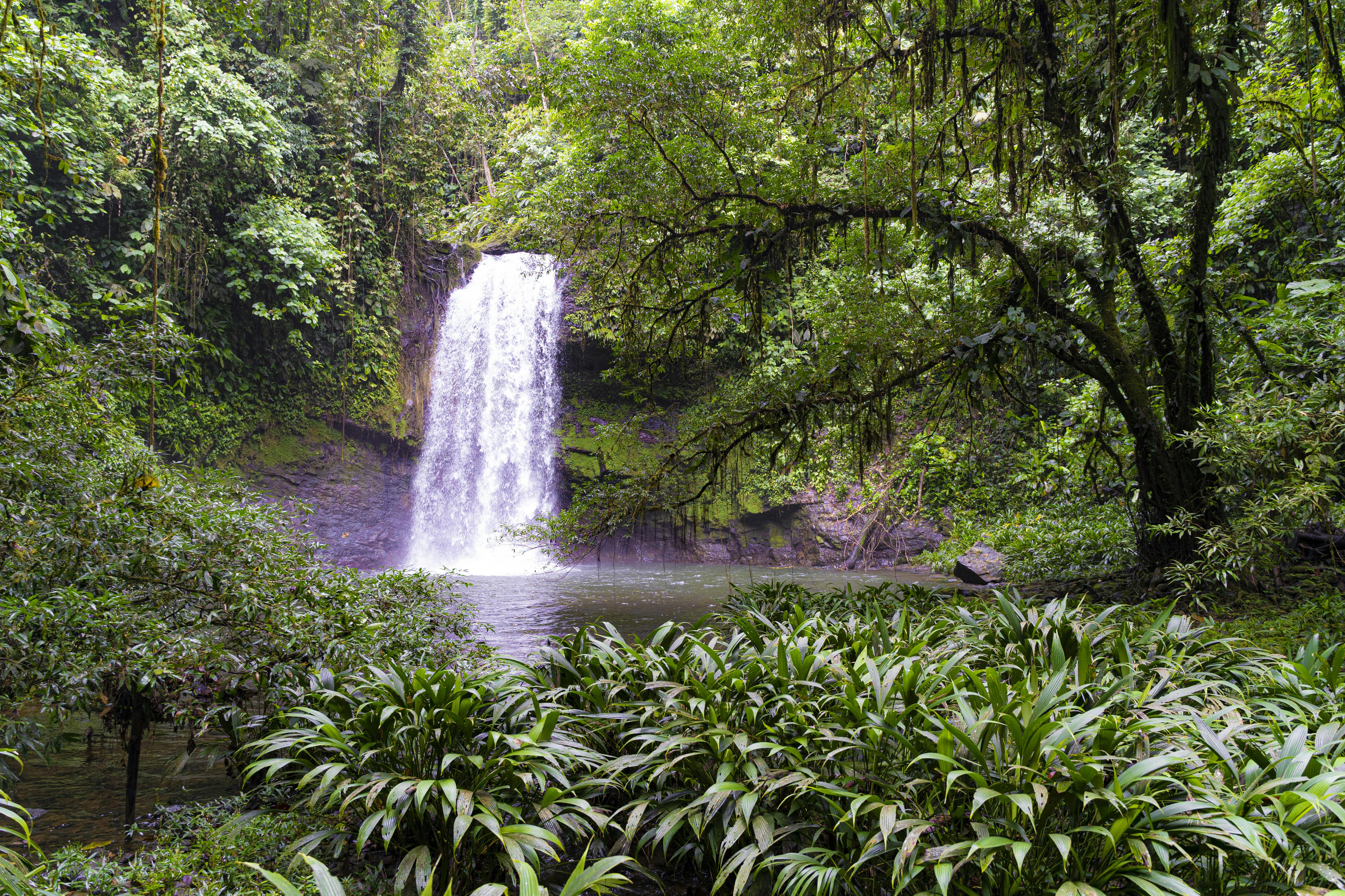 Wycieczka piesza po wodospadach Bucay