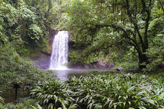 Wycieczka piesza po wodospadach Bucay