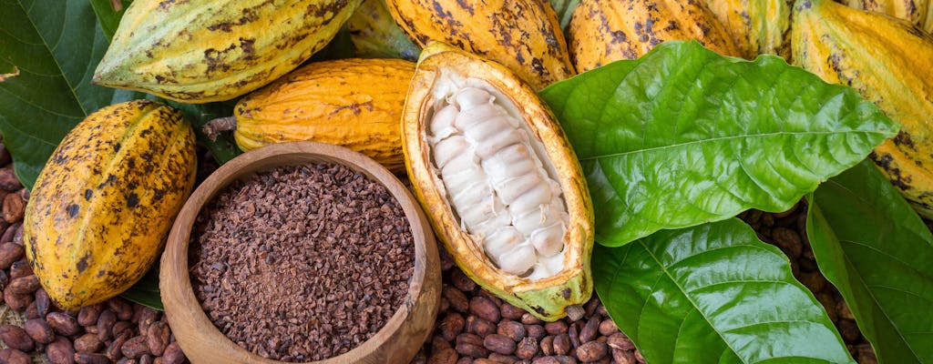 Excursión a la finca de cacao desde Guayaquil