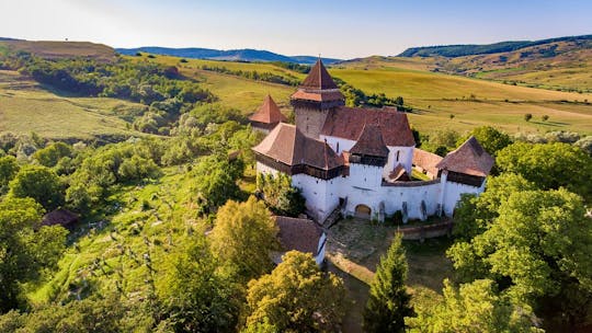 Tour privato di un giorno a Sighisoara e al villaggio di Viscri da Brasov