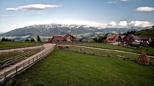 Private visit to a Transylvanian village and to Bran Castle from Brasov