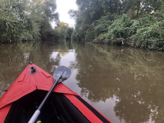 Tour guidato in kayak sul Neckar vicino a Ladenburg