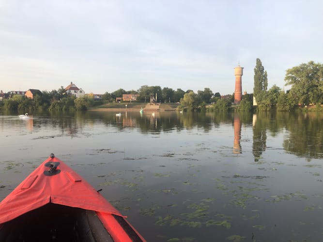 Guided kayak tour on the Neckar near Ladenburg