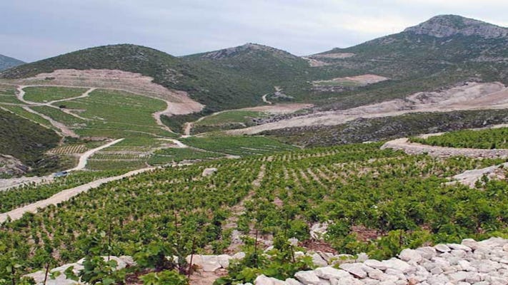 Private Tour nach Peljesac und Ston von Dubrovnik mit Weinprobe