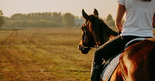 Horse riding in Lunigiana with typical lunch