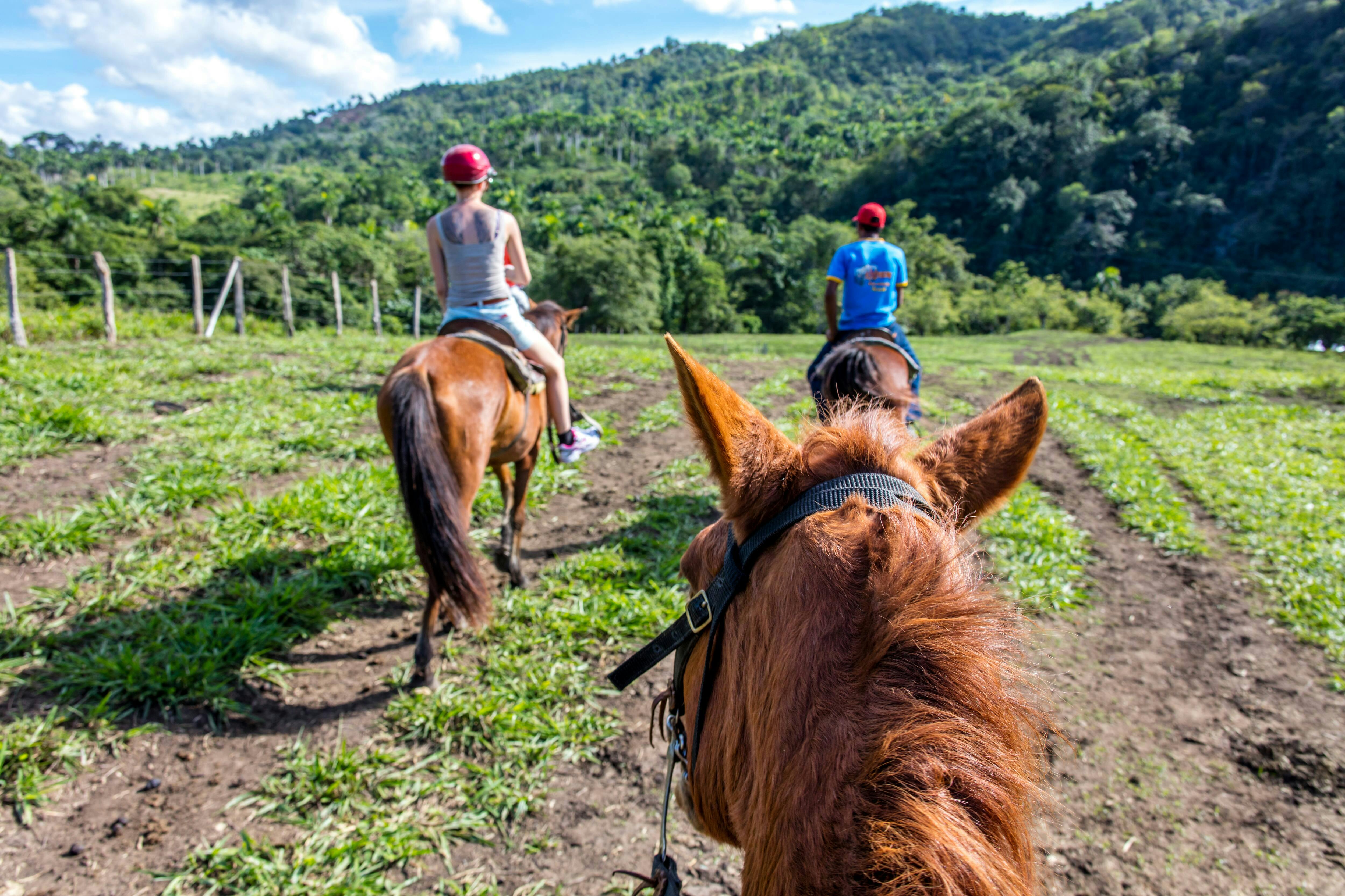 Triple Adventure: Waterfalls, Zipline & Horses