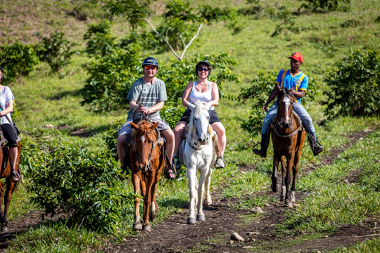 Triple Adventure: Waterfalls, Zipline & Horses