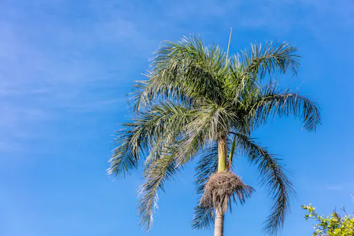 Triple Adventure: Waterfalls, Zipline & Horses