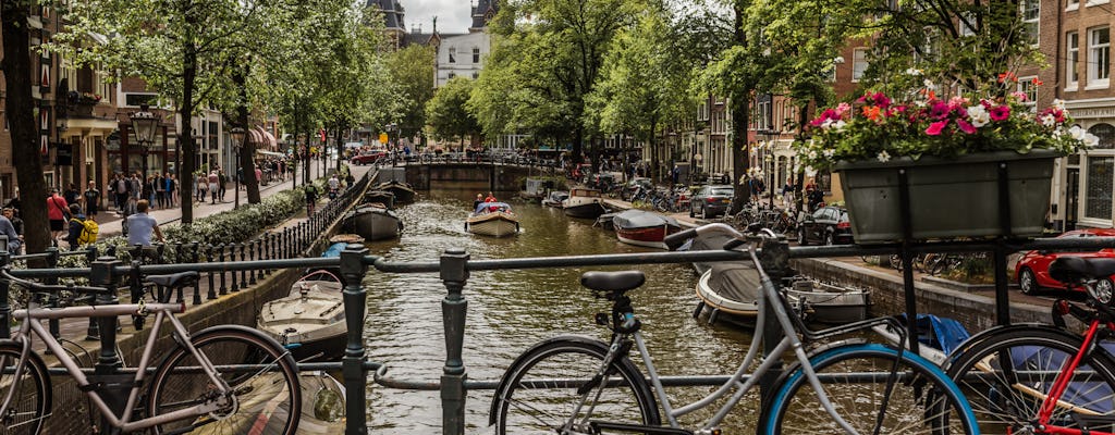 Full-day private and personalized walking tour of Amsterdam