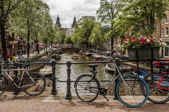 Tour privado a pie de día completo por Ámsterdam con un guía local - 100% personalizado