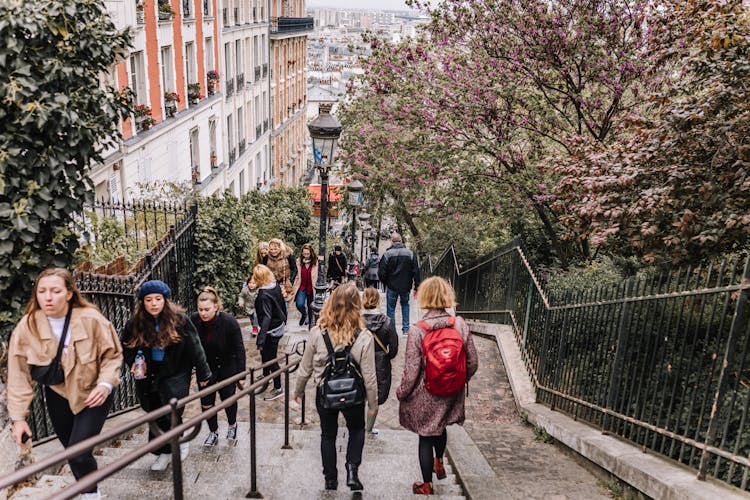 Private Paris tour - Explore eclectic Montmartre and bohemian Clignancourt with a local