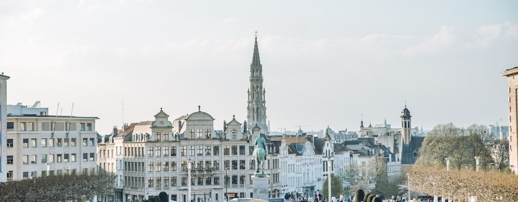 Excursão a pé privativa de meio dia em Bruxelas com um local -100% personalizado