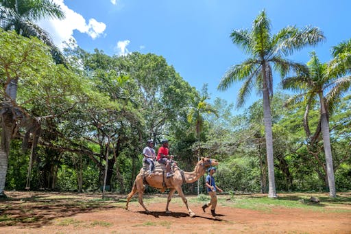 Yaaman Adventure Park & Cooking Experience