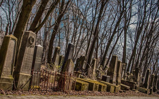 Private Krakow Jewish Ghetto-tour met synagogen en Remuh Cemetery