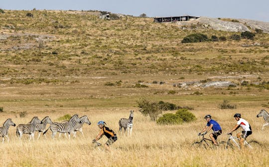 !Kwha ttu опыт наследия Сан и велосипедный тур из Кейптауна