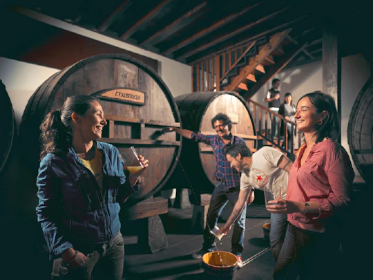 Cider house tour in San Sebastián