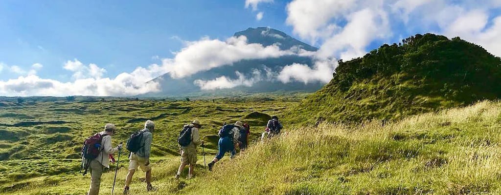 Demi-journée de marche à pied à la Caldeira de l'île de Faial