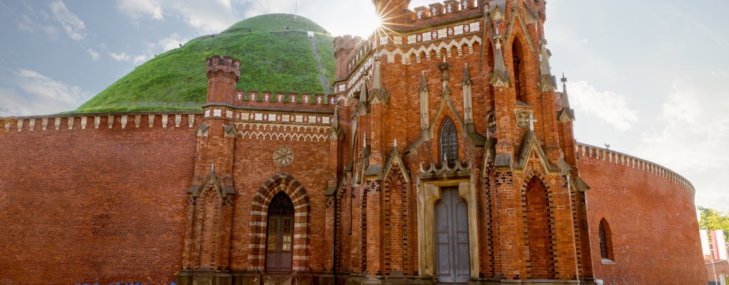 Tour privado de día completo por Cracovia con transporte y montículo de Kosciuszko