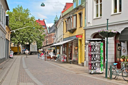 Besichtigung der instagrammable Orte von Malmö mit einem Einheimischen
