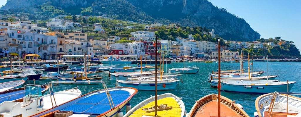 Capri en Anacapri-tour vanuit Napels