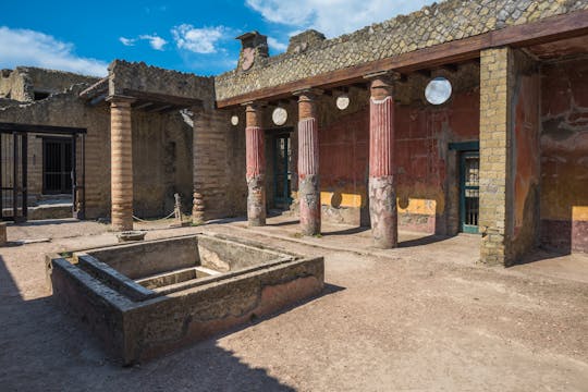 Herculaneum guided tour from Naples