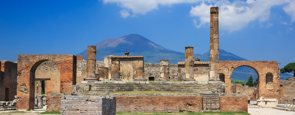 Tour por Pompeia e Vesúvio saindo de Nápoles com pizza para o almoço