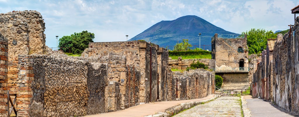 Pompeii en Vesuvius-tour vanuit Napels met wijnproeverij