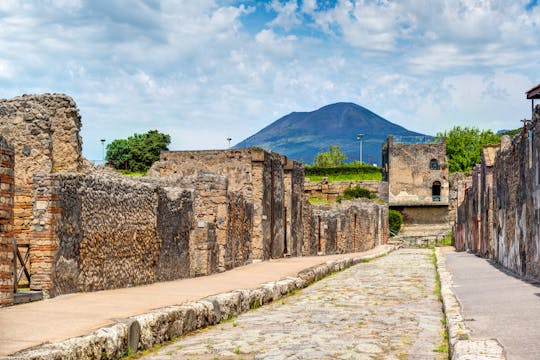 Pompeii en Vesuvius-tour vanuit Napels met wijnproeverij