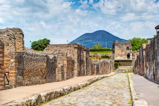 Pompeii and Vesuvius tour from Naples with wine tasting