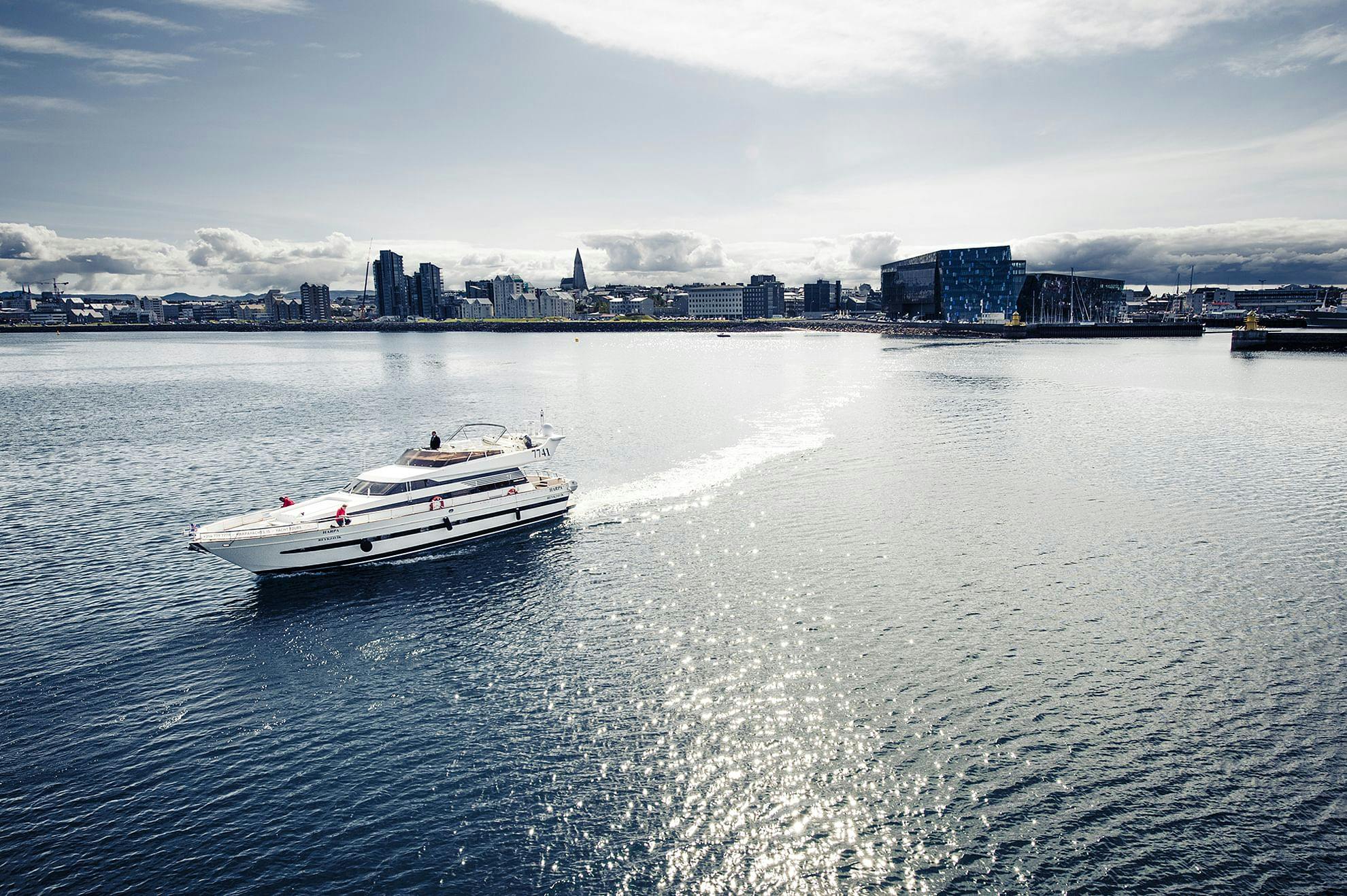 Whale watching luxury yacht cruise in Reykjavik