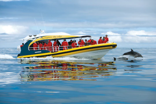 Tasman Island 3-hour wilderness cruise