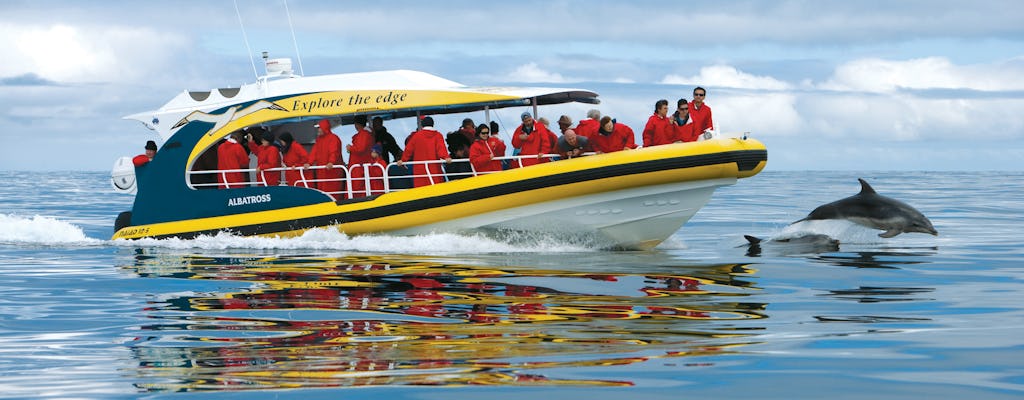 Croisière de 3 heures dans la nature sur l'île de Tasman