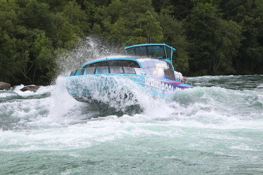 Niagara River Freedom boat tour with American Departure