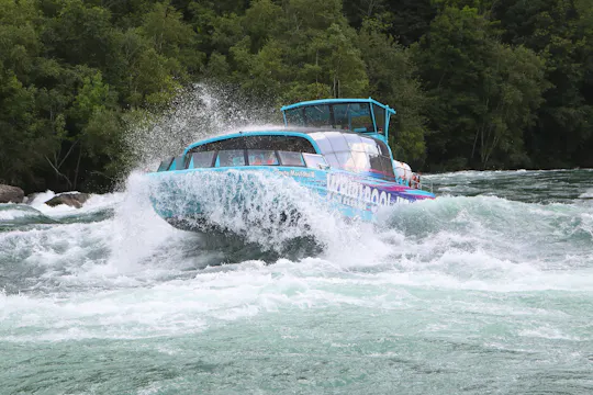Niagara River Freedom boat tour with American Departure