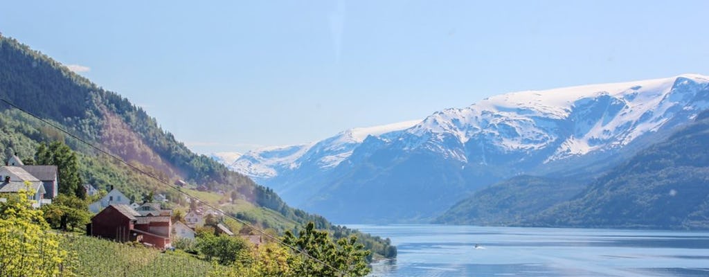 Excursion d'une journée autoguidée à Rosendal avec une croisière express Hardangerfjord