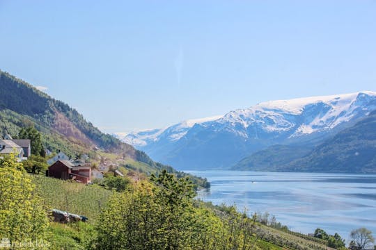 Excursão autoguiada de um dia a Rosendal com cruzeiro expresso no Hardangerfjord
