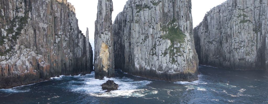 Tasman Island Cruises from Hobart with Port Arthur visit