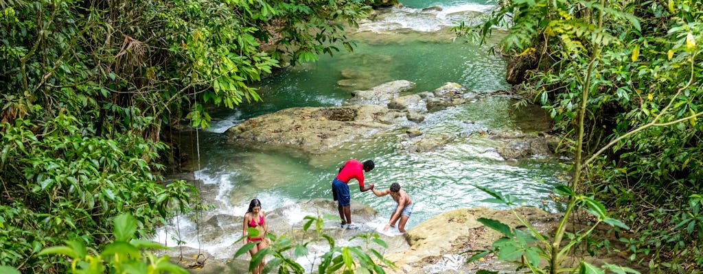 Mayfield Falls Tours