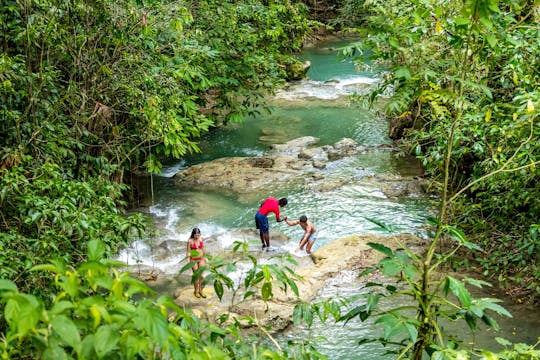 Mayfield Falls Trips