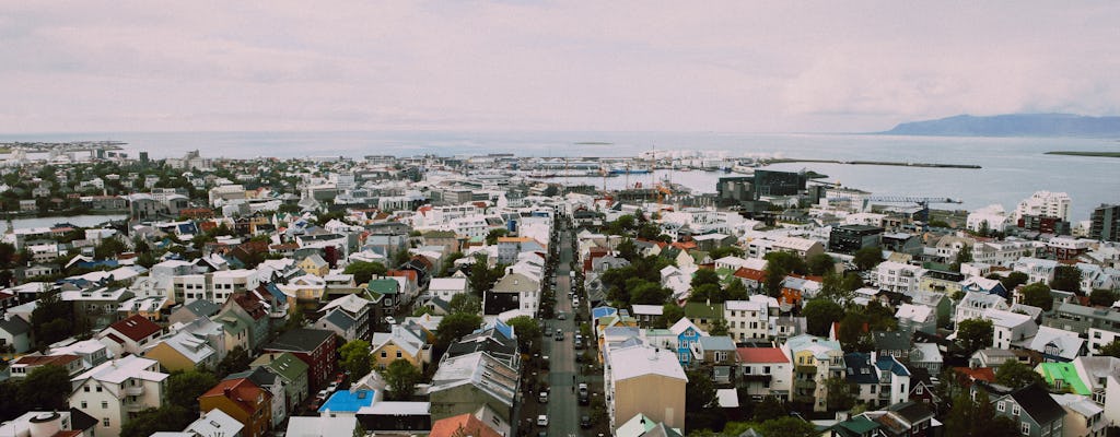 1-hour walking tour of Reykjavik with a local