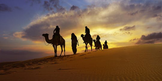 Dîner safari dans les dunes au départ de Sharjah