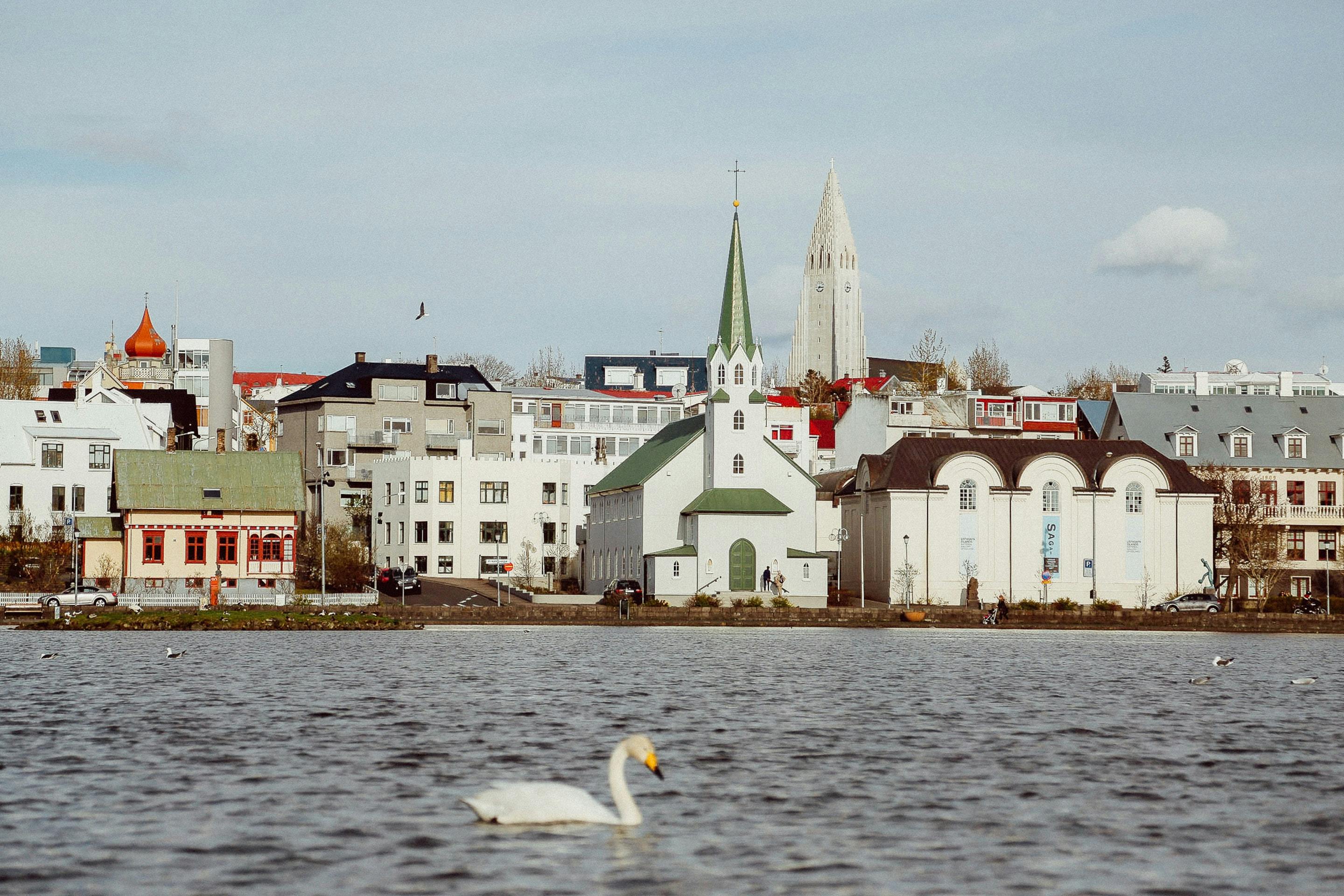 Visite des spots instagrammables de Reykjavik avec un local