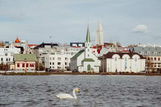 Visite des lieux instagrammables de Reykjavik avec un local